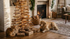 Wooden Christmas tree decorated with warm fairy lights and ornaments in a cozy living room, with a cat and golden retriever resting nearby.